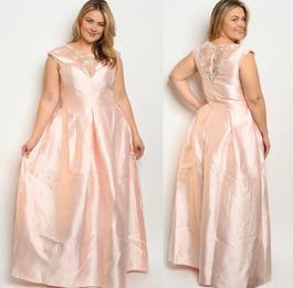 Pink Size 22 Ball gown on Queenly