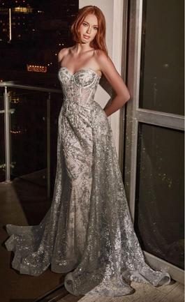 Silver Size 10 Train Dress on Queenly