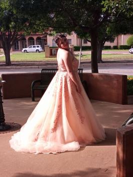Sherri Hill Pink Size 18 Corset Ball gown on Queenly