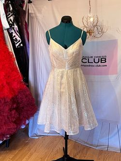 Unique Dress Clu Nude Size 6 Sequined $300 A-line Dress on Queenly