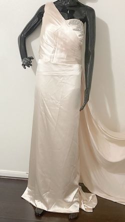 Nude Size 14 Ball gown on Queenly