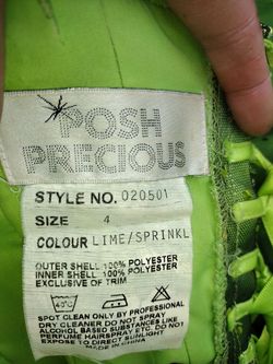 Style 020501 Posh Precious  Green Size 4 Corset Ball gown on Queenly