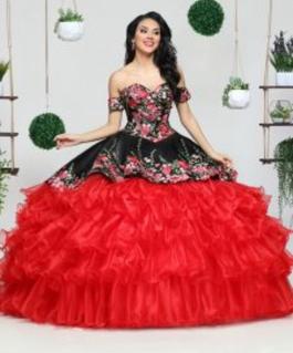 I forgot Red Size 20 Tall Height Plus Size Floor Length Ball gown on Queenly