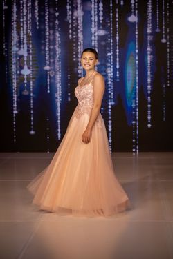 Elizabeth K by GLS Pink Size 0 Pageant Bridgerton Tulle A-line Dress on Queenly