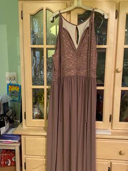 Nude Size 22 Straight Dress on Queenly