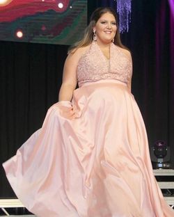 Sherri Hill Light Pink Size 20 Embroidery Ball gown on Queenly
