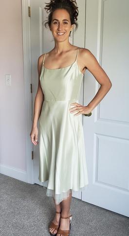 Ann Taylor Light Green Size 4 Black Tie A-line Dress on Queenly