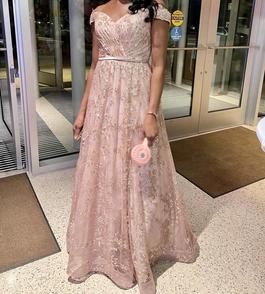 Cinderella Divine  Pink Size 12 $300 A-line Dress on Queenly