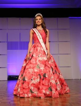 Sherri Hill Pink Size 2 Pageant Mini Ball gown on Queenly