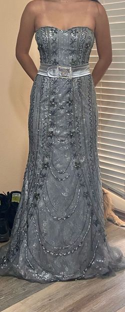 Majestic Vogue Collection Silver Size 2 50 Off Sleeves Train Dress on Queenly