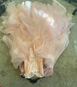House of Wu Pink Size 6 Ball gown on Queenly