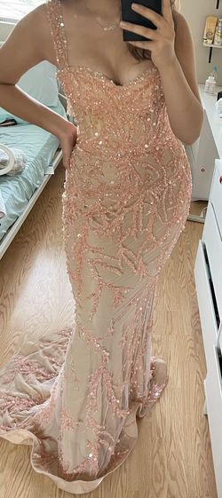 Albina Dyla Nude Size 6 Silk Pageant Embroidery Wedding Guest Jewelled Mermaid Dress on Queenly