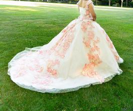 RAGAZZA Nude Size 6 Floor Length Girls Size Ball gown on Queenly