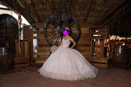 Style PR22144  Princesa by Ariana Vara Pink Size 2 Corset Ball gown on Queenly