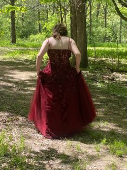 Nina Canacci Red Size 18 Plus Size Medium Height Black Tie Ball gown on Queenly