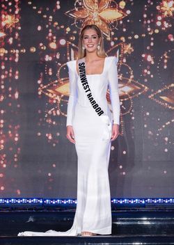Made by previous Miss NY USA contestant. White Size 4 Floor Length Tall Height Velvet Straight Dress on Queenly
