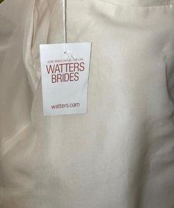 watters White Size 10 Strapless Silk Train Dress on Queenly