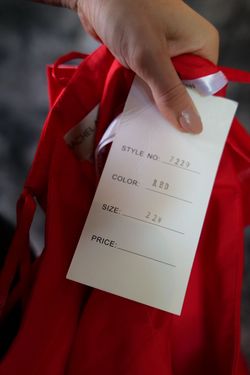 Style 7229 Rachel Allan Red Size 22 Floor Length Black Tie Ball gown on Queenly