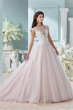 Style Idalia David Tutera White Size 10 Tulle Wedding Ball gown on Queenly