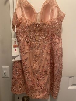 Pink Size 14 Cocktail Dress on Queenly