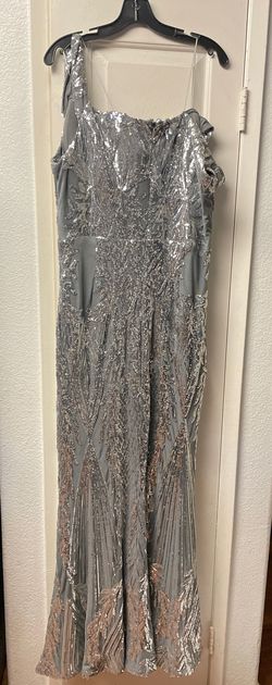 Silver Size 20 Straight Dress on Queenly