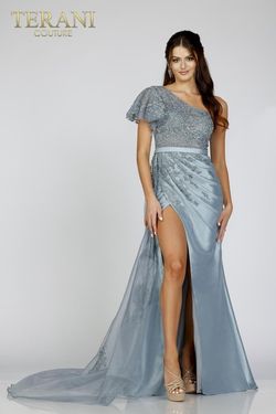 Style 231E0517 Terani Couture Silver Size 20 Side slit Dress on Queenly