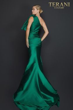 Style 2011E2044 Terani Couture Green Size 6 Floor Length Free Shipping Pageant Tall Height Straight Dress on Queenly