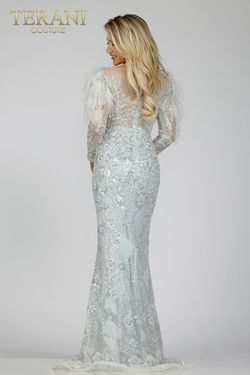 Style 231M0491 Terani Couture Silver Size 2 Floor Length Tall Height Pageant Straight Dress on Queenly