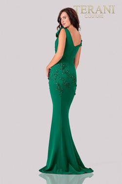 Style 2111M5261 Terani Couture Green Size 16 Tall Height Black Tie Pageant Side slit Dress on Queenly