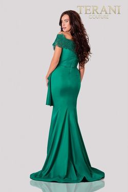 Style 2111M5255 Terani Couture Green Size 20 Emerald Pageant Floor Length Free Shipping Straight Dress on Queenly