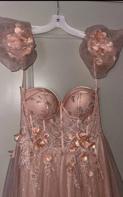 Cinderella Divine Pink Size 6 A-line Dress on Queenly