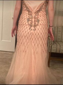 Pink Size 4 Mermaid Dress on Queenly