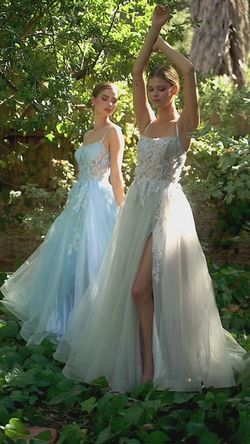 Style A1141 Andrea & Leo Couture Silver Size 6 A1141 Floor Length Tall Height A-line Dress on Queenly