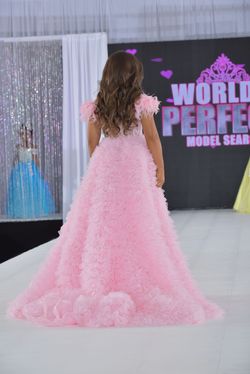 Sherri Hill Pink Size 00 Floor Length Pageant A-line Dress on Queenly