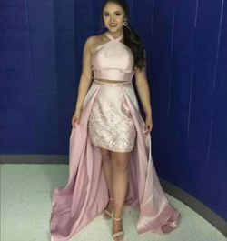 Rachel Allan Pink Size 8 Floor Length Straight Dress on Queenly