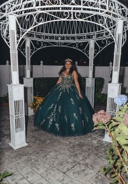 Mori Lee Green Size 8 Quinceañera Short Height Pageant Floor Length Ball gown on Queenly