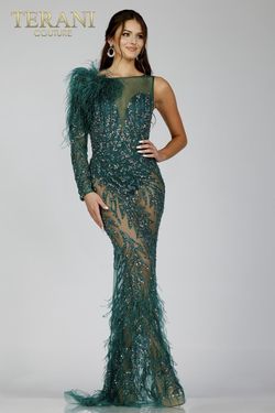 Style 231GL0439 Terani Couture Green Size 14 Pageant Plus Size Floor Length Straight Dress on Queenly