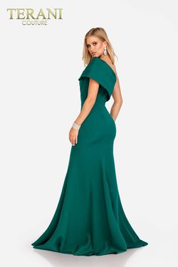 Style 231M0473 Terani Couture Green Size 12 Pageant Plus Size Floor Length Mermaid Dress on Queenly