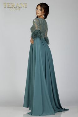 Style 231M0492 Terani Couture Green Size 12 Ball gown on Queenly