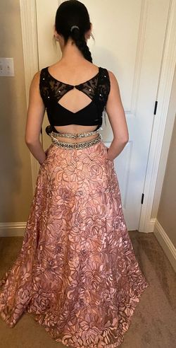 Panoply Pink Size 2 Floor Length Black Tie Prom Ball gown on Queenly