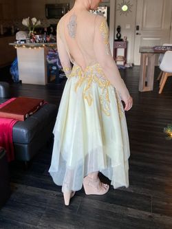 Dora Herbst Nude Size 4 Floor Length Medium Height Custom Ball gown on Queenly