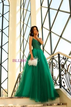 Style 5885 Blush Prom Green Size 14 Lace Floor Length Tall Height Ball gown on Queenly