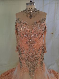 Style C2021Dionisha rose gold long sleeve plus size wedding gown with bling Darius Cordell Multicolor Size 20 Prom Embroidery Straight Dress on Queenly