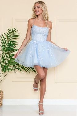 Style DANITA_LIGHTBLUE14_17CEB Amelia Couture Blue Size 14 Plus Size Tulle Straight Dress on Queenly