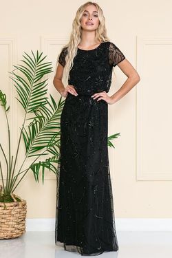 Style TAYLOR Amelia Couture Black Size 22 Sheer Embroidery Tall Height Straight Dress on Queenly