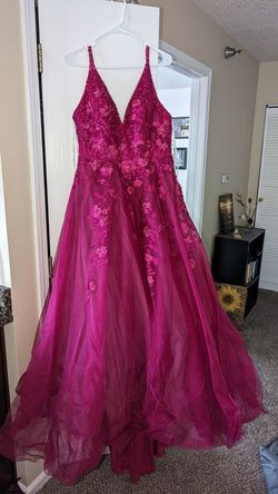 Ellie Wilde Hot Pink Size 14 Plus Size Embroidery Spaghetti Strap Ball gown on Queenly