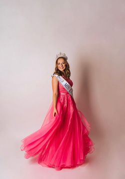 Sherri Hill Pink Size 6 Beaded Top Pageant Ball gown on Queenly