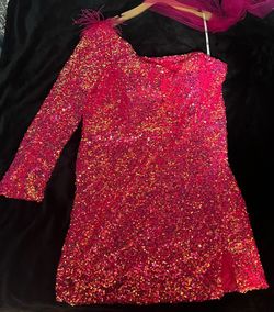 Elizabeth K Pink Size 24 Plus Size Summer Euphoria Cocktail Dress on Queenly