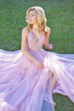REN The Label Pink Size 24 Tulle Floor Length Pageant Plus Size Prom A-line Dress on Queenly