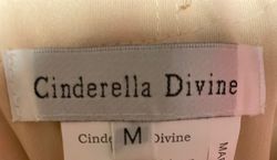 Cinderella Divine Multicolor Size 8 Belt Straight Dress on Queenly